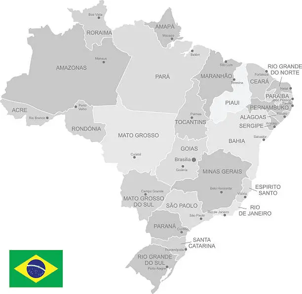 Vector illustration of Detailed Vector Map of Brazil