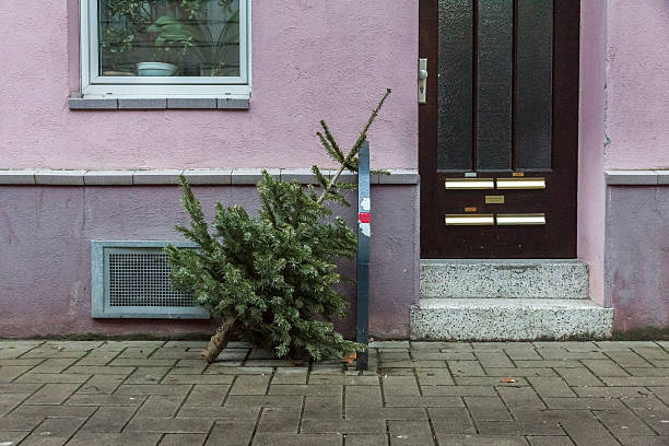 weihnachtsbaum alt 、ヴォア rosa 館 - gegenstand ストックフォトと画像