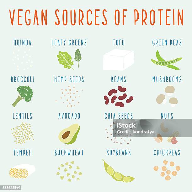 Vegan Sources Of Protein Stock Illustration - Download Image Now - Chia seed, Seed, 2015