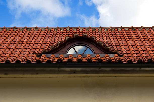 istock Detail of red tiled roof 533628055