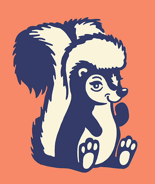 스컹크 - skunk stock illustrations