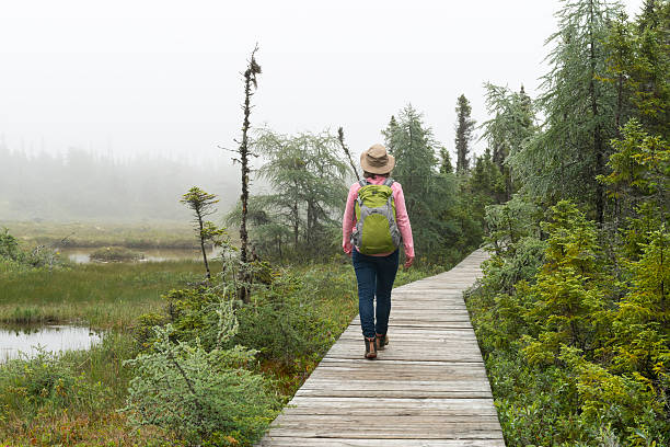Woman hiking on footpath trough boreal forest Woman hiking on trail. Footpath on Quarry Island, Mingan Archipelago, Quebec, Canada. north quebec stock pictures, royalty-free photos & images