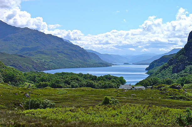 istock Beautiful Loch and Green Valley 533631943