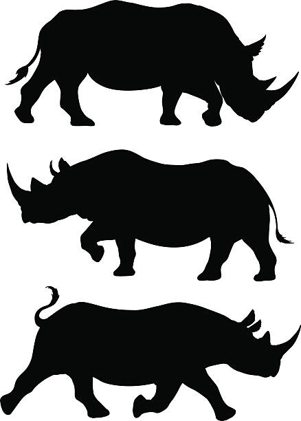Rhino silhouettes vector art illustration