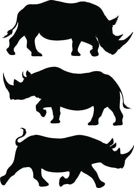 Vector illustration of Rhino silhouettes
