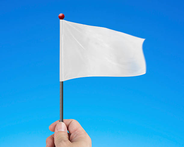 istock Hand holding blank white flag isolated on blue 533649085