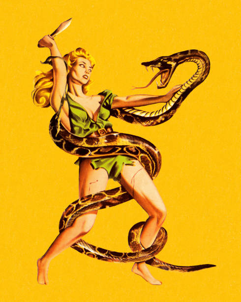 ilustraciones, imágenes clip art, dibujos animados e iconos de stock de mujer lucha serpiente - colored background adult photography color image