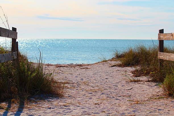 istock Honeymoon Island Beach In Florida 533650307