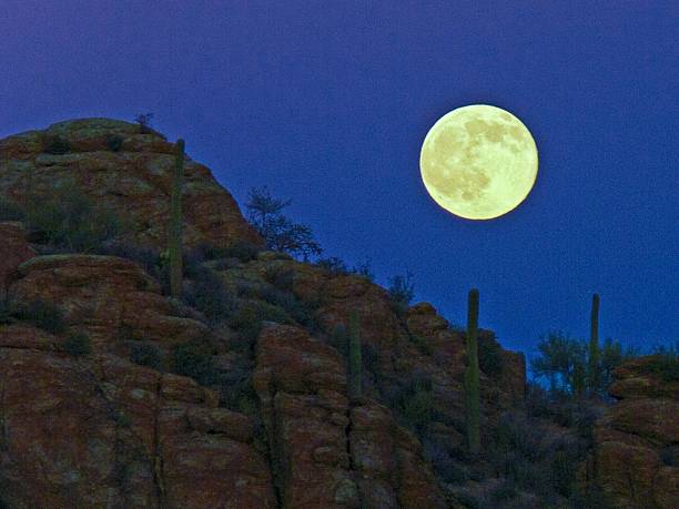 istock High desert at dusk with moonlight 533650769