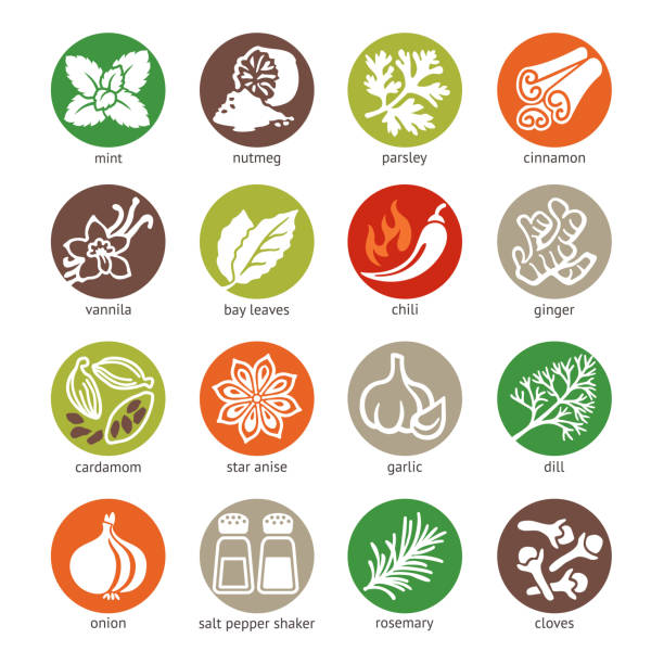 ilustrações de stock, clip art, desenhos animados e ícones de colorido web icon set-especiarias, condimentos e plantas aromáticas - cardamom spice indian culture isolated