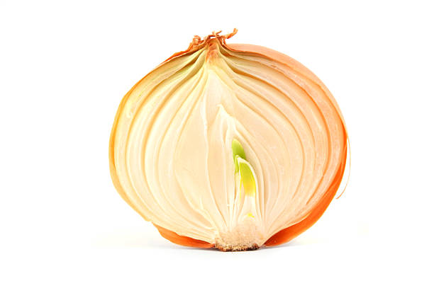 istock Fresh bulbs of onion on a white background 533665927