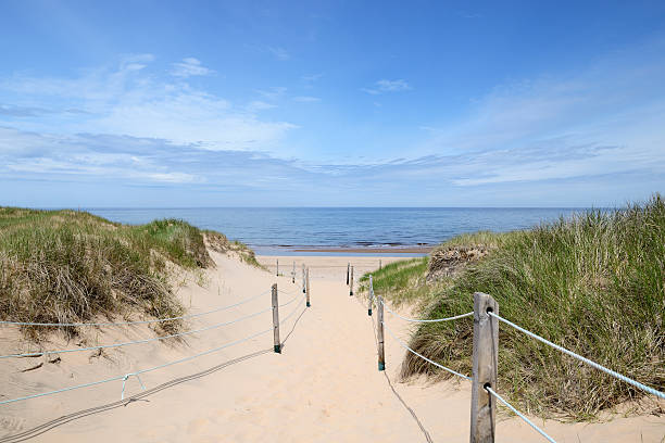istock Path to the Beach in Summer 533666133