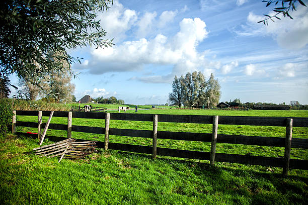 farmland. landwirt und kühe auf der grünen wiese im unterlegung - cowboy blue meadow horizontal stock-fotos und bilder