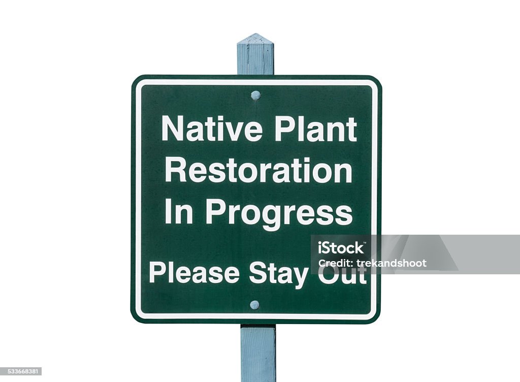 Native Plant Restoration Sign Isolated Native plant restoration sign isolated. 2015 Stock Photo