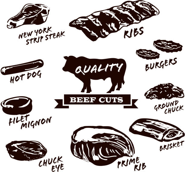 ilustraciones, imágenes clip art, dibujos animados e iconos de stock de cortes de carne de res con texto sobre fondo blanco - filet mignon illustrations