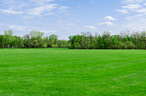 istock beautiful sunny day in park at spring time 533669549