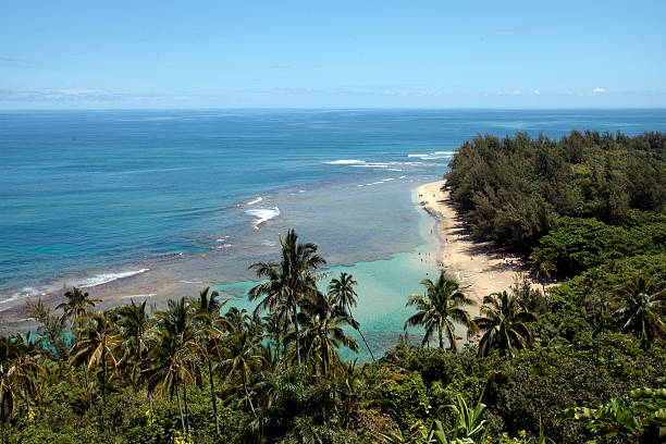 istock Na Pali Coast, Kauai 533670945