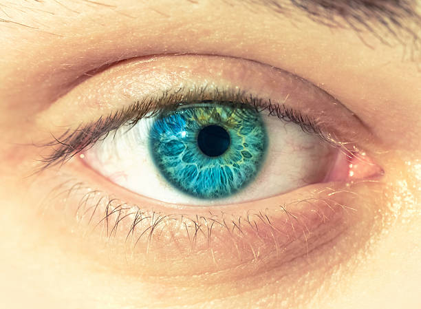 istock Macro image of human eye 533671481
