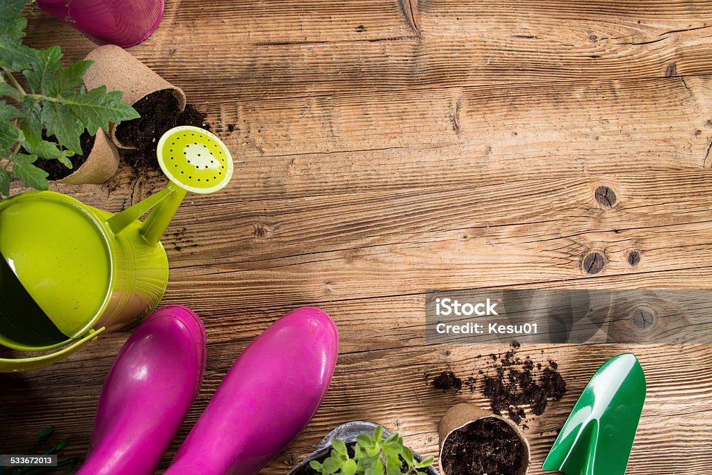 Outdoor gardening tools and herbs Outdoor gardening tools and herbs, close-up. 2015 Stock Photo