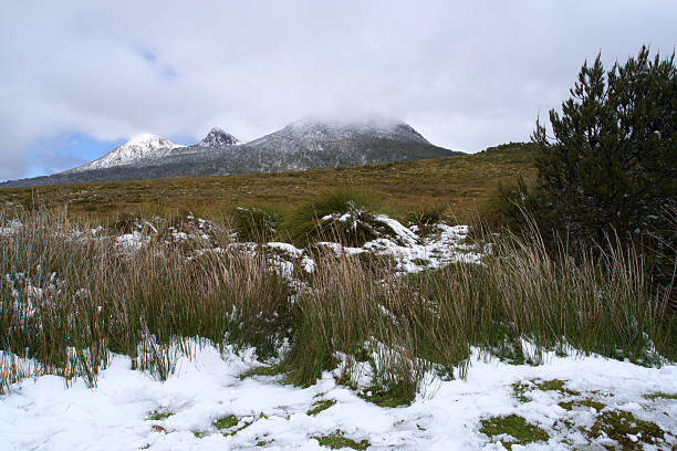 istock CENTRAL HIGHLANDS TASMANIA 533695626