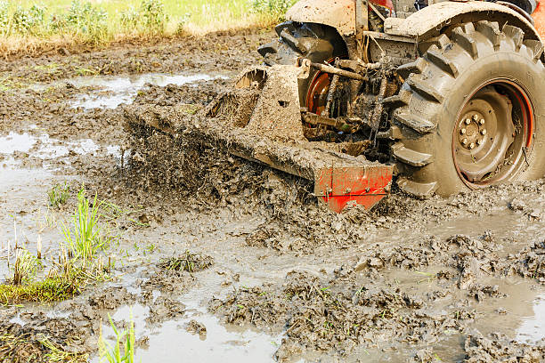 istock Agricultural tractor cultivated land in the paddy fields 533696092