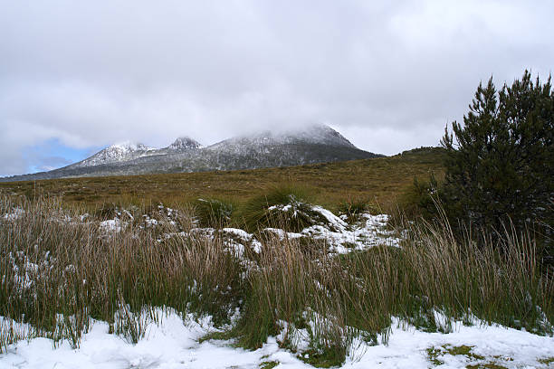 istock CENTRAL HIGHLANDS TASMANIA 533696438
