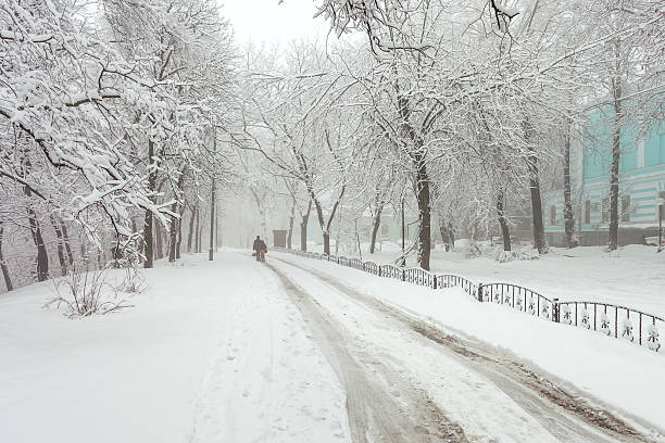istock winter city park in morning 533697049