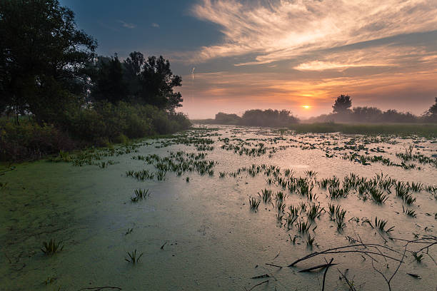 istock Landscape, sunny dawn, sunrays in fog 533698297