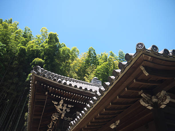 istock Japanese Pagoda roof and bamboo grove 533698708