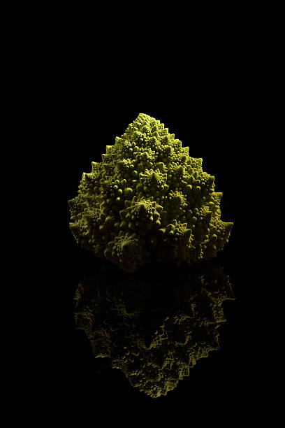 roman. Romanesco broccoli isolated on black background. Healthy vegetable eating. fractal plant cabbage textured stock pictures, royalty-free photos & images