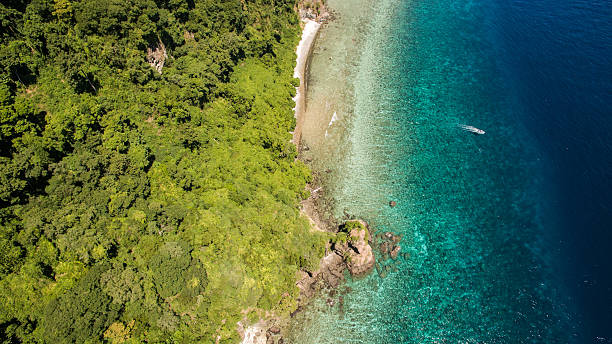 istock Coral Reef and Rainforest Aerial 533700368