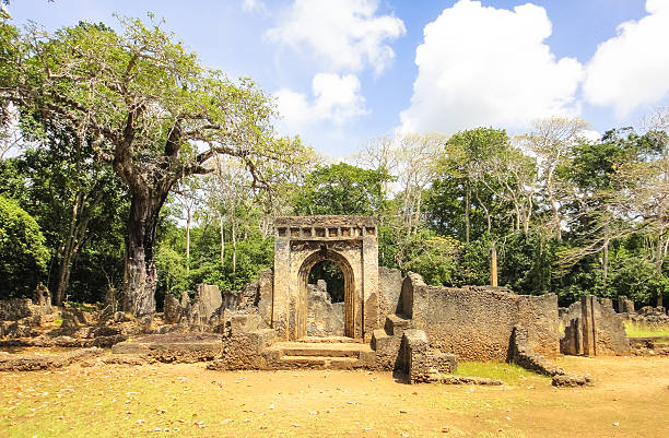 Ruins of Gedi (Gede). Swahili town in Kenya near Malindi Ruins of Gedi (Gede). Swahili town in Kenya near Malindi. Eastern Africa xxi stock pictures, royalty-free photos & images