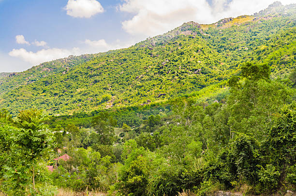 istock slope of a mountain in Vietnam 533703664