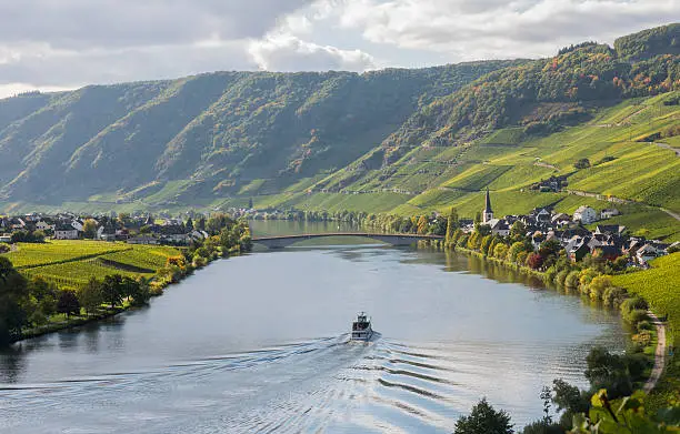 The Moselle near the wine village of Piesporter with boat and bridge in autumn in Germany.