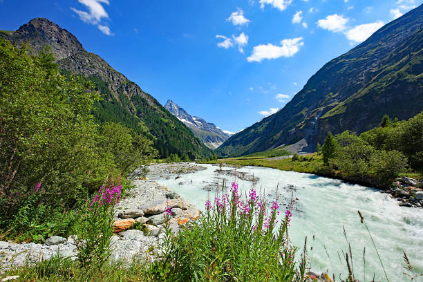 Beautiful landscape of Swiss Mountains in summer. This is an image of Val d'Anniviers, valley near the village of Zinal, with a mountain river, summer flowers and blue sky.