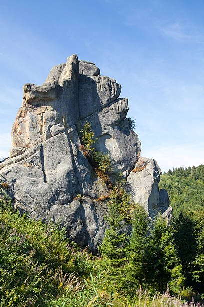 istock Rock fortress in Carpathian Mountains 533712336