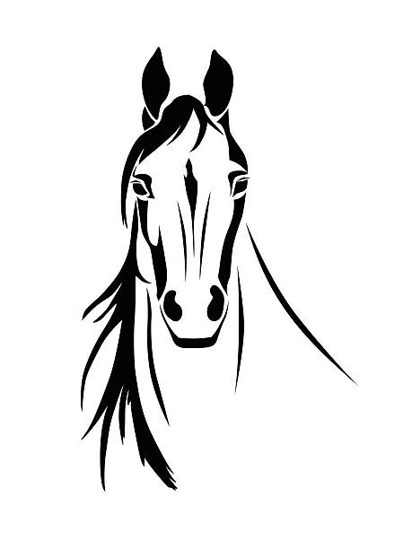 illustrazioni stock, clip art, cartoni animati e icone di tendenza di sagoma di una testa di cavallo vista frontale - cavallo