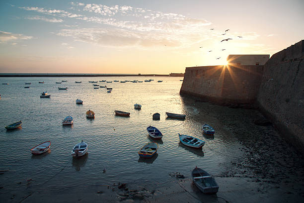 fishing boats in cadiz at sunset