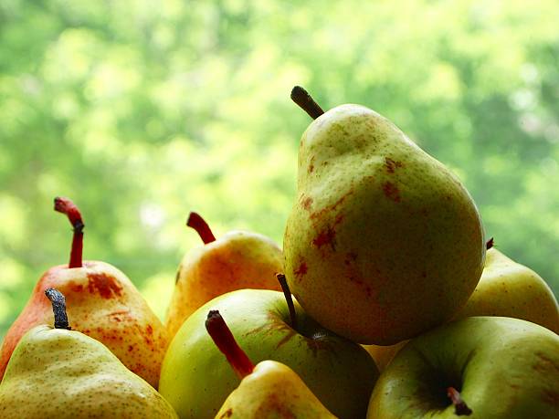 istock Pears and apples on a green background 533720942
