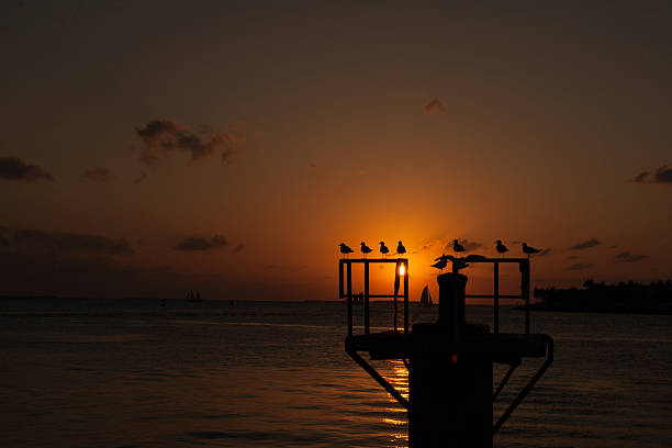 Key West Sunset stock photo