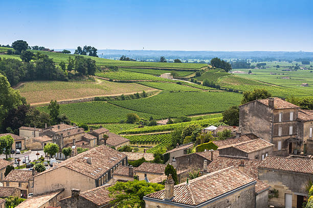Vineyards in St. Emilion, France Vineyard in the village of Saint Emilion in France saint emilion photos stock pictures, royalty-free photos & images