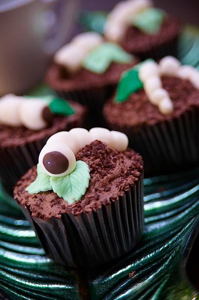 Chocolate Cupcake stock photo
