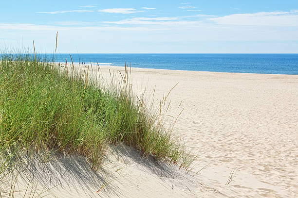 istock Dunes on a sunny beach near the beach. Summer. 533722407
