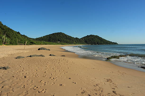 istock Balneario Camboriu - Brazil 533723534