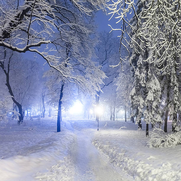 istock Footpath in a fabulous winter city park 533723593