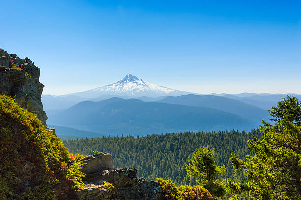 istock Mt. Hood Seen From Larch Mountain 533724387
