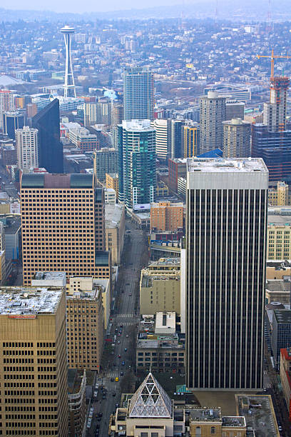 istock Aerial View of Seattle Downtown 533726301