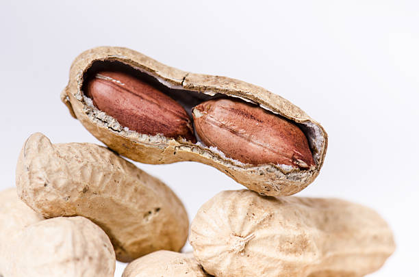 istock Peanuts on a white background. Isolated. Building from nuts. Balance. 533727856