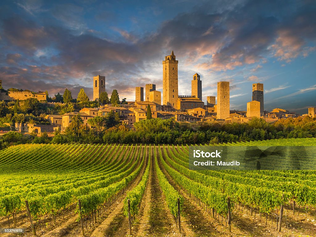 Vineyard covered hills of Tuscany,Italy Vineyard covered hills of Tuscany,Italy, with San Gimignano in the background Tuscany Stock Photo