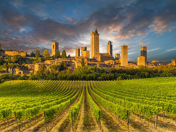 Vineyard covered hills of Tuscany,Italy Vineyard covered hills of Tuscany,Italy, with San Gimignano in the background castle photos stock pictures, royalty-free photos & images